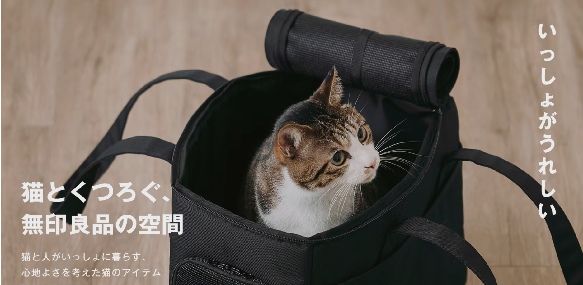 猫とカバン